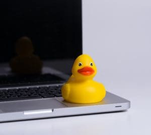 yellow rubber duck on laptop