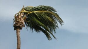 Hurricane Season Be Prepared Backup and Disaster Recovery
